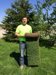 Roll of sod roll of sod