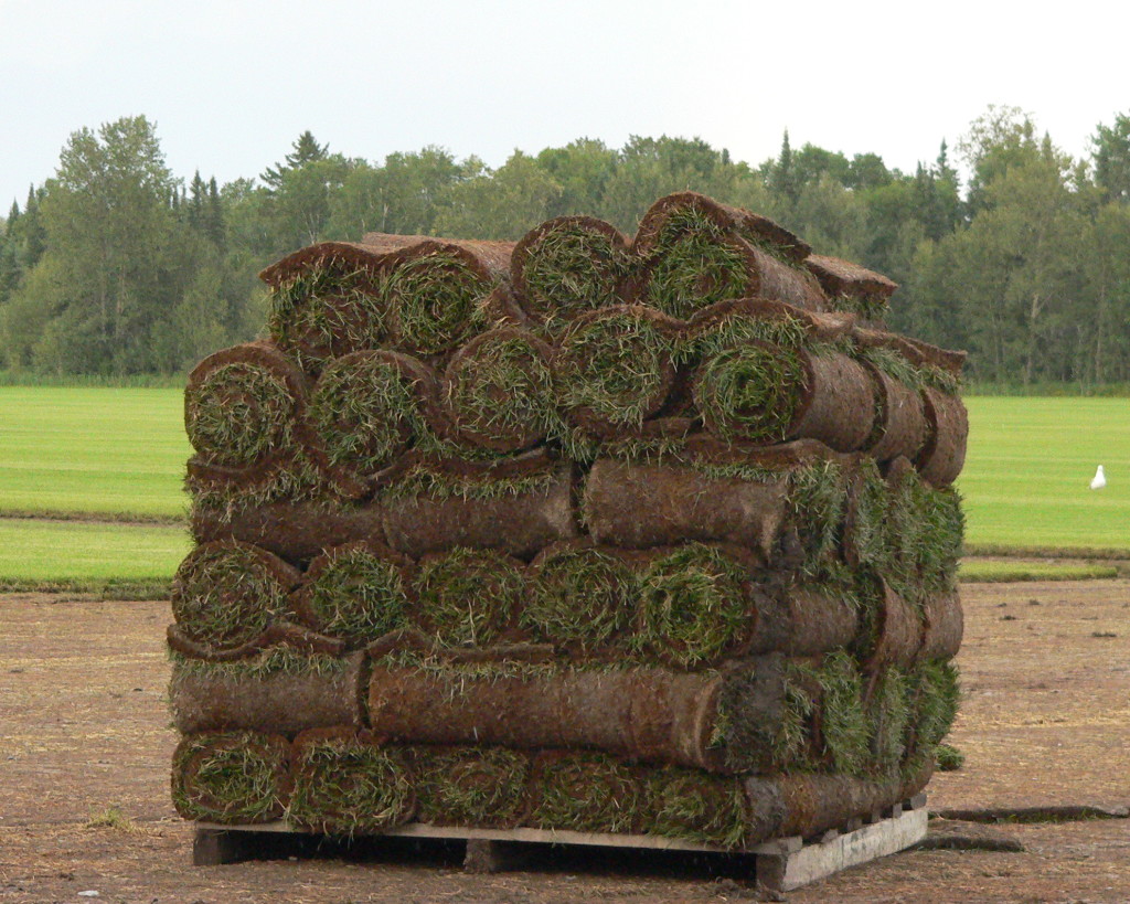 Skid of sod Sod pallet