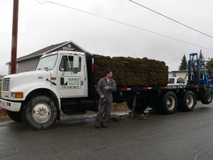 Sod Delivery