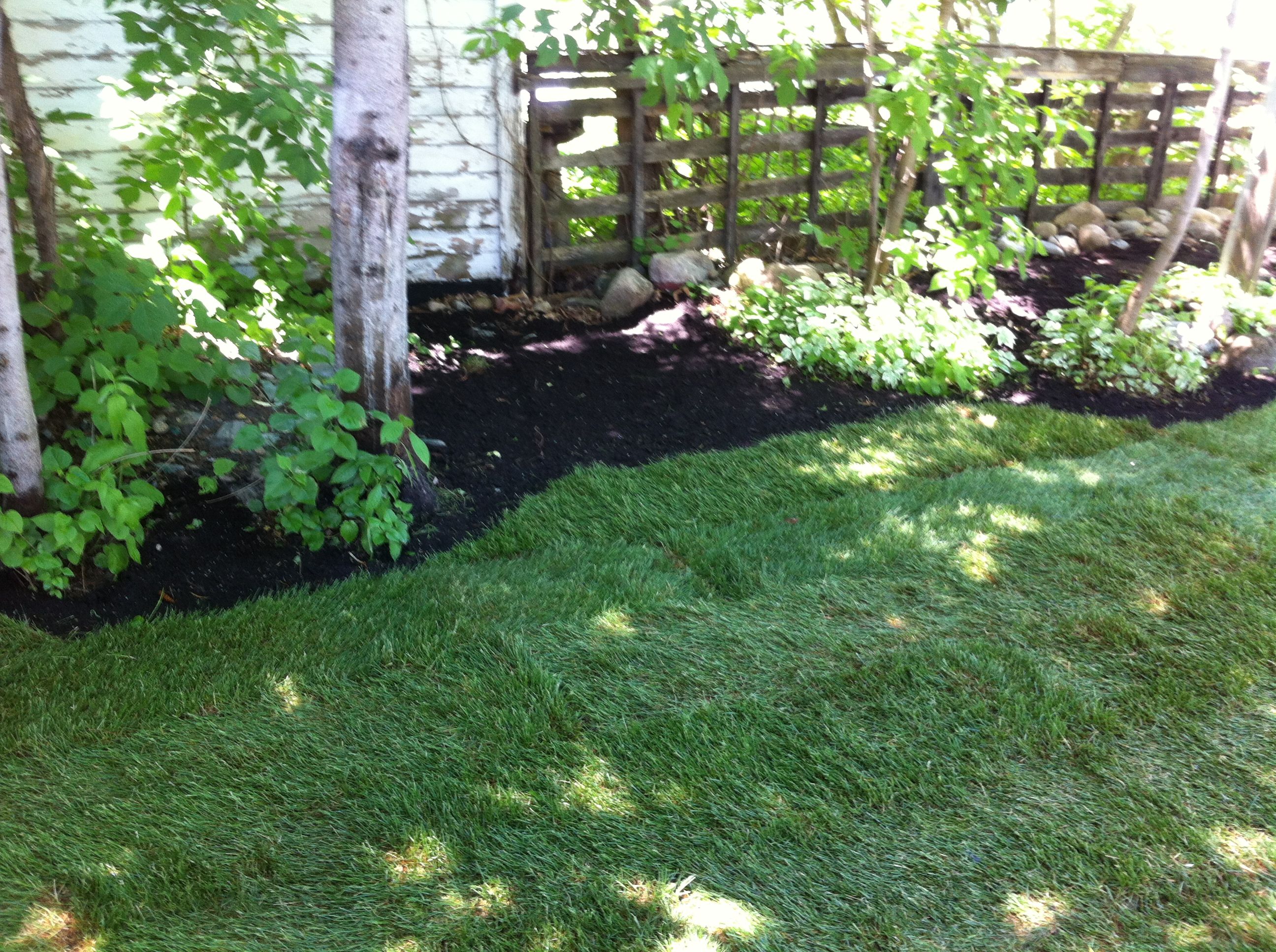 Sod installation