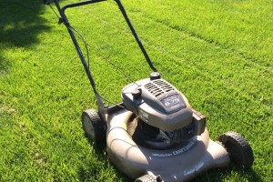 Mower Mower