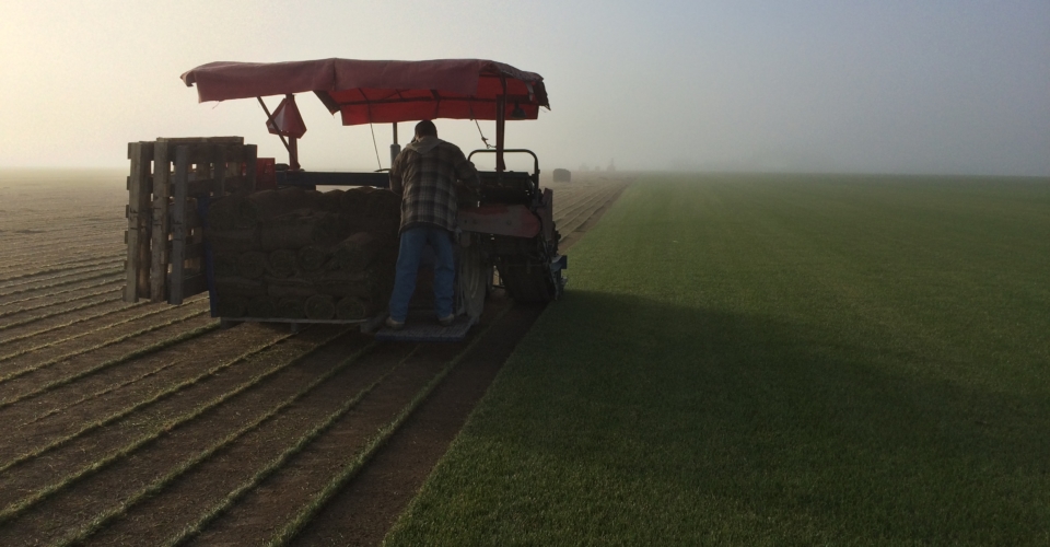 Legault Sod Farm, Timmins Ontario