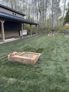 Sod Installation 1